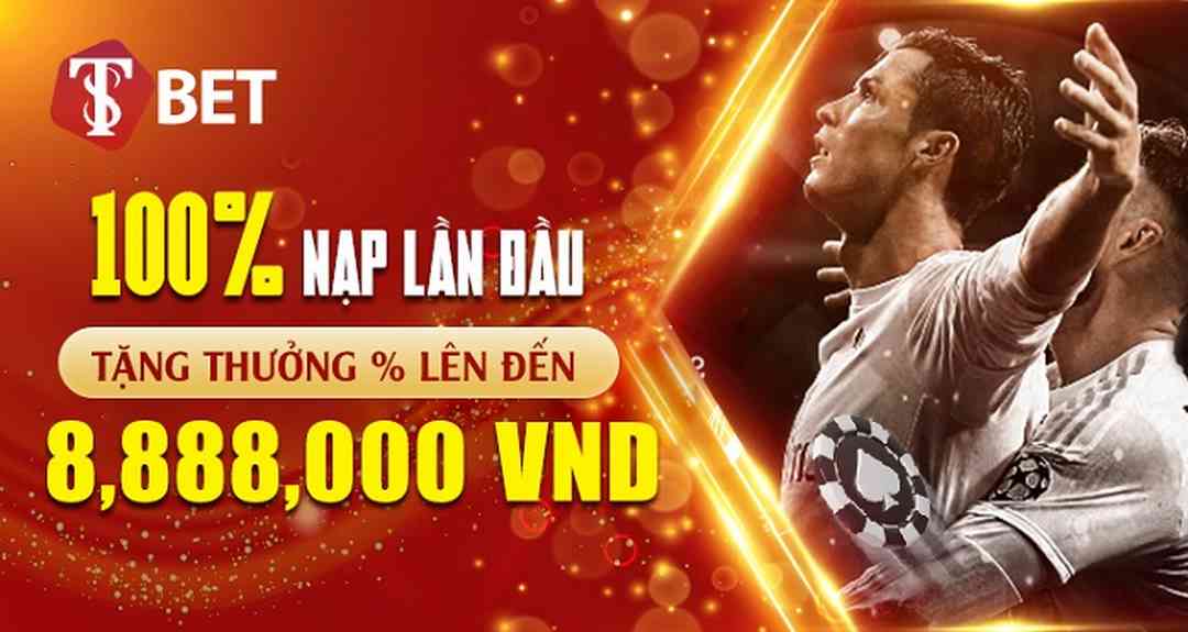 T8bet đa dạng hấp dẫn